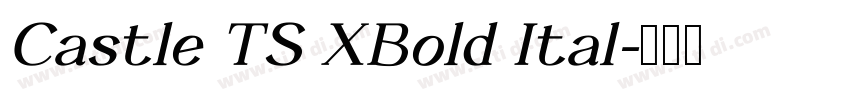 Castle TS XBold Ital字体转换